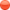 ca 4 Wochen